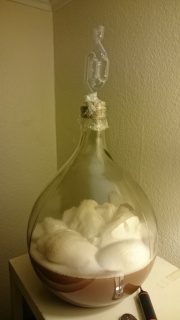 2016.01.31-Old-Ale-n1-fermentation-1-scaled