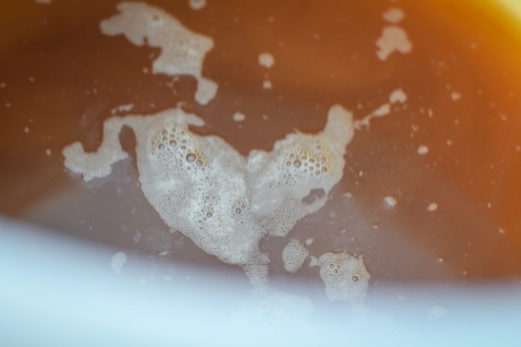 Photo de la surface du moût en fin de fermentation.